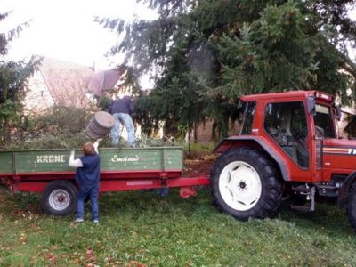 Hallenputzete 2015
